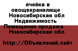 ячейка в овощехранилище - Новосибирская обл. Недвижимость » Помещения продажа   . Новосибирская обл.